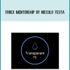 Forex Mentorship by Niccolo Testa at Midlibrary.com