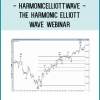 Harmonic Elliott Wave has taken forecasting to new heights through a simple re-organization to R.N.