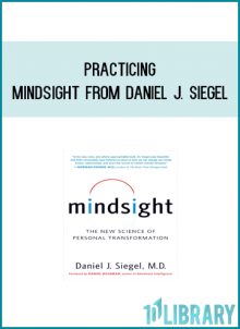 Practicing Mindsight from Daniel J. Siegel at Kingzbook.com