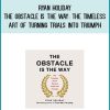 Ryan Holiday - The Obstacle Is the Way The Timeless Art of Turning Trials into Triumph at Midlibrary.com