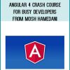 Angular 4 Crash Course for Busy Developers from Mosh Hamedani at Midlibrary.com