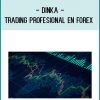 Dinka - Trading Profesional en Forex at Royedu.com