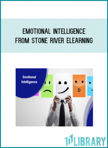 Emotional Intelligence from Stone River eLearning at Midlibrary.com