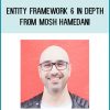 Entity Framework 6 in Depth from Mosh Hamedani at Midlibrary.com