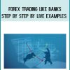 Forex Trading Like Banks - Step by Step by Live Examples at Royedu.com