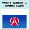 Angular 4 - Beginner to Pro from Mosh Hamedani at Midlibrary.com