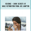 Revenge – Dark Secrets of Male Retribution from Joe Lampton at Midlibrary.com