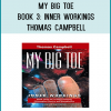 Book 3 of the MY Big TOE trilogy. My Big TOE, written by a nuclear physicist in the language contemporary culture, unifies science and philosophy, physics and metaphysics, mind and matter, purpose and meaning, the normal and the paranormal. The entirety of human experience (mind, body, and spirit) including both our objective and subjective worlds is brought together under one seamless scientific understanding. Book 3: Inner Workings – Section 5 presents the formal reality model in detail. In this section the mechanics of reality are explained. You will find out how the past present and future are formed, how they can be altered, and how you interact with the larger reality as an individuated unit of consciousness. Here you will find an explanation of inter and intra dimensional awareness and the theoretical possibilities of teleportation, time travel as a few of the more fun ramifications of this reality model are probed. Section 6 provides the wrap-up that puts everything discussed into an easily understood perspective. Additionally, Section 6 points out My Big TOE's relationship with contemporary science and philosophy. By demonstrating a close conceptual relationship between this TOE and some of the establishment's biggest scientific and philosophic intellectual guns, Section 6 integrates My Big TOE into traditional Western science and philosophy.