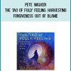 Pete Walker - The Tao of Fully Feeling Harvesting Forgiveness out of Blame at Midlibrary.com