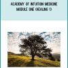 Academy of Intuition Medicine-Module One (Healing 1)