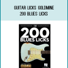 A Guitar Licks Goldmine awaits in this incredible blues collection!