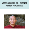 Master Mingtong Gu And The Chi Center Team Presents