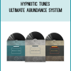 Hypnotic Tunes - Ultimate Abundance System